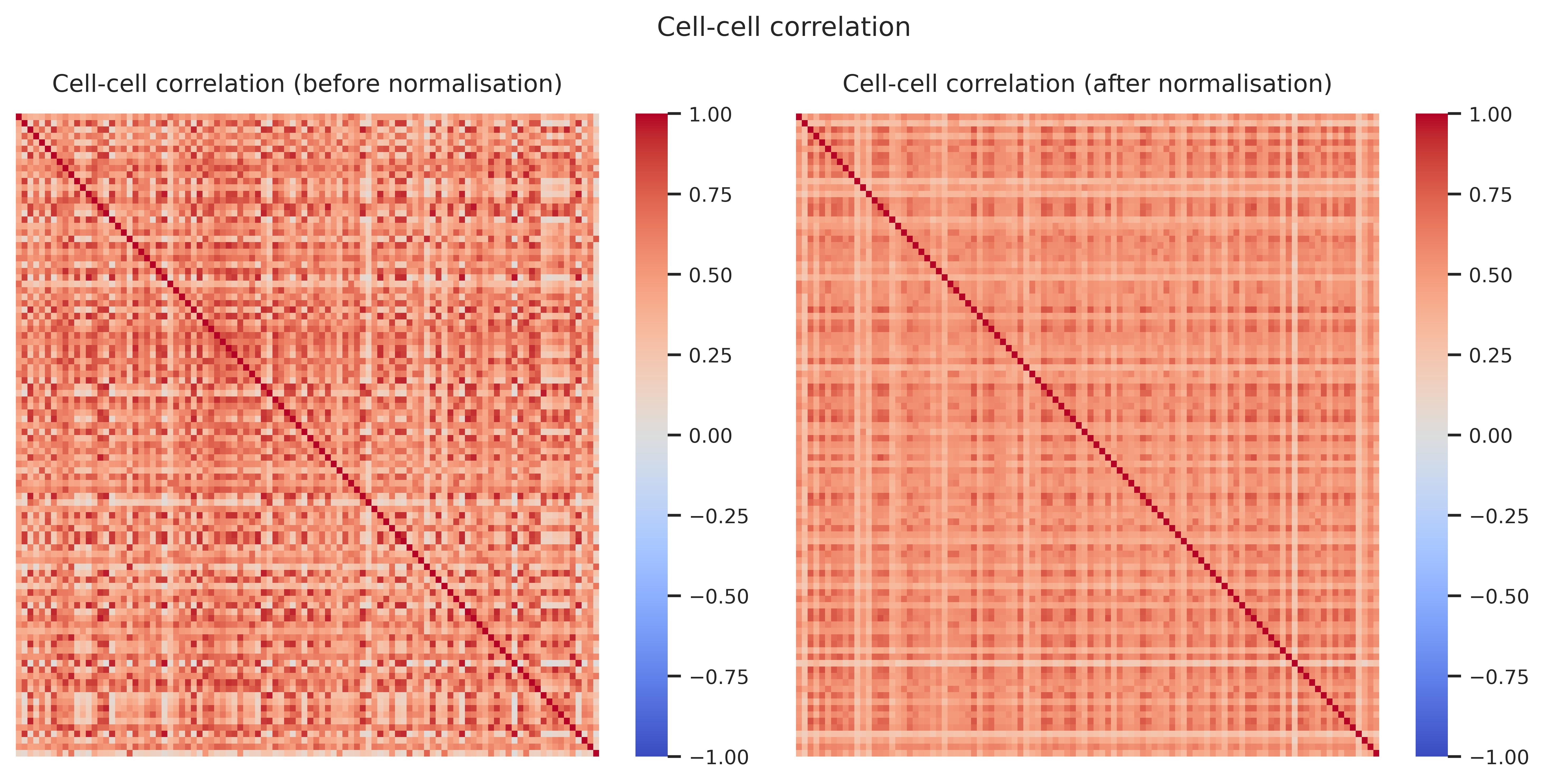 Cell–cell correlation