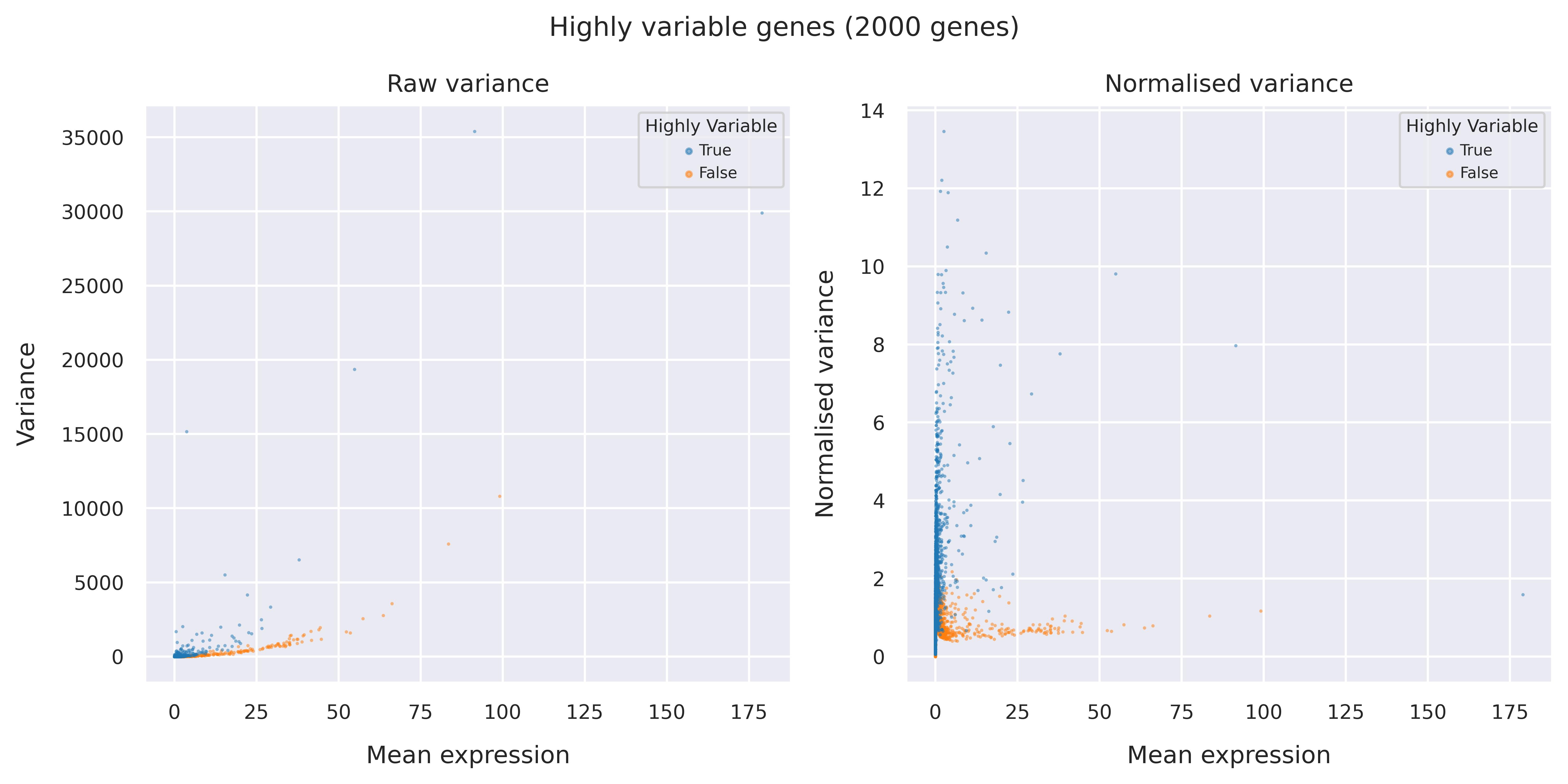 Highly variable genes