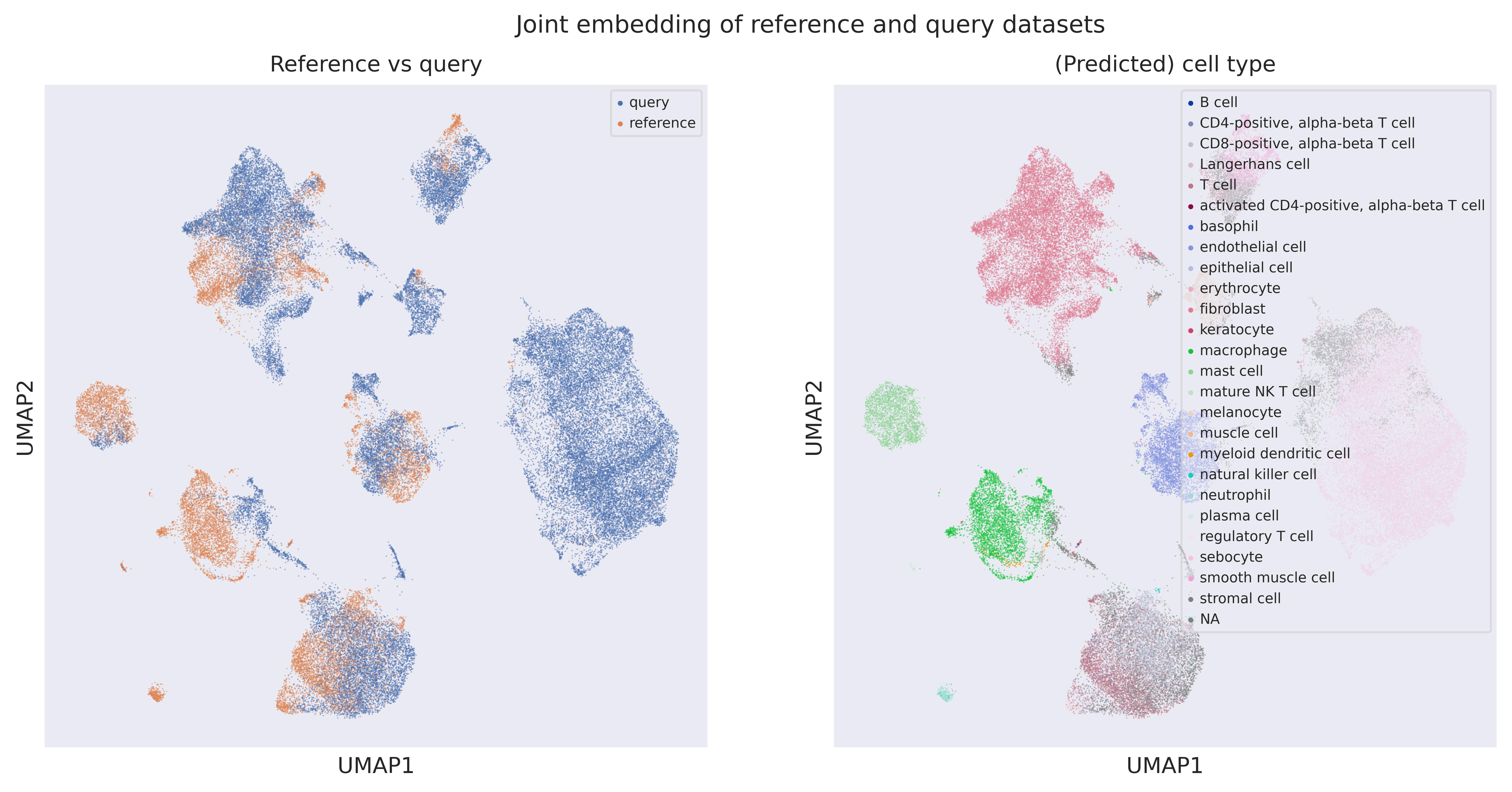 Cell origin UMAP