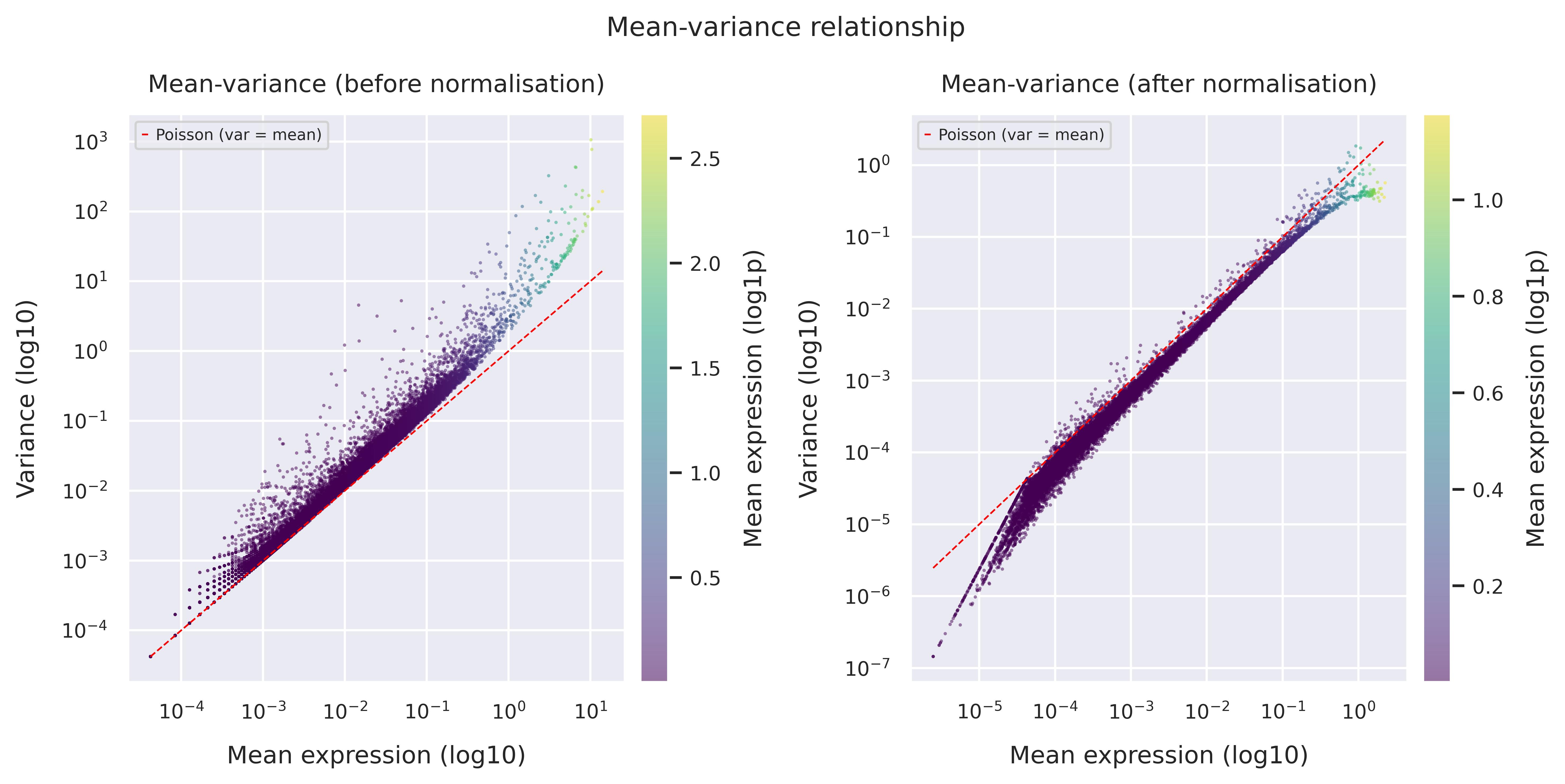 Mean–variance relationship