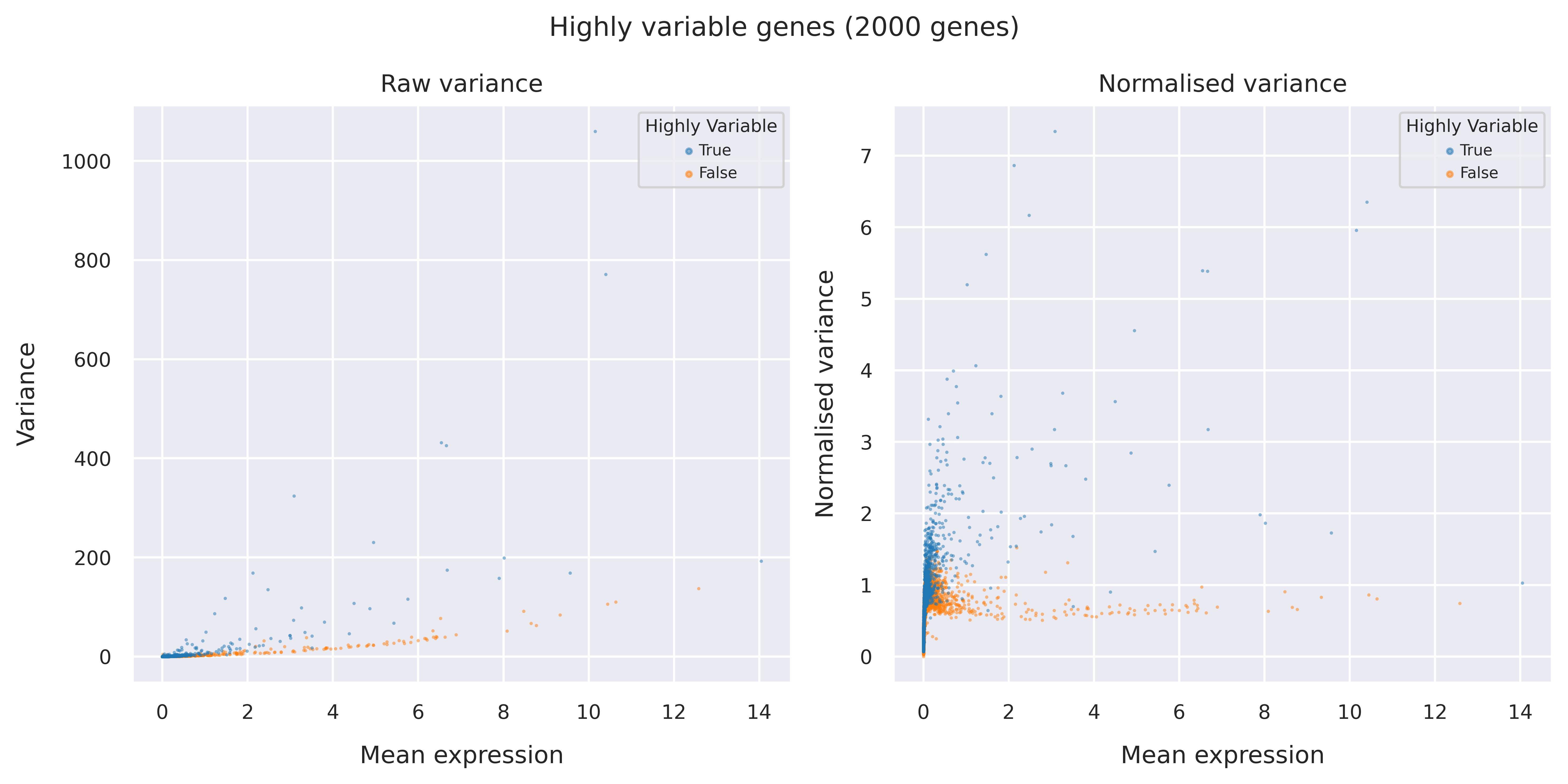 Highly variable genes
