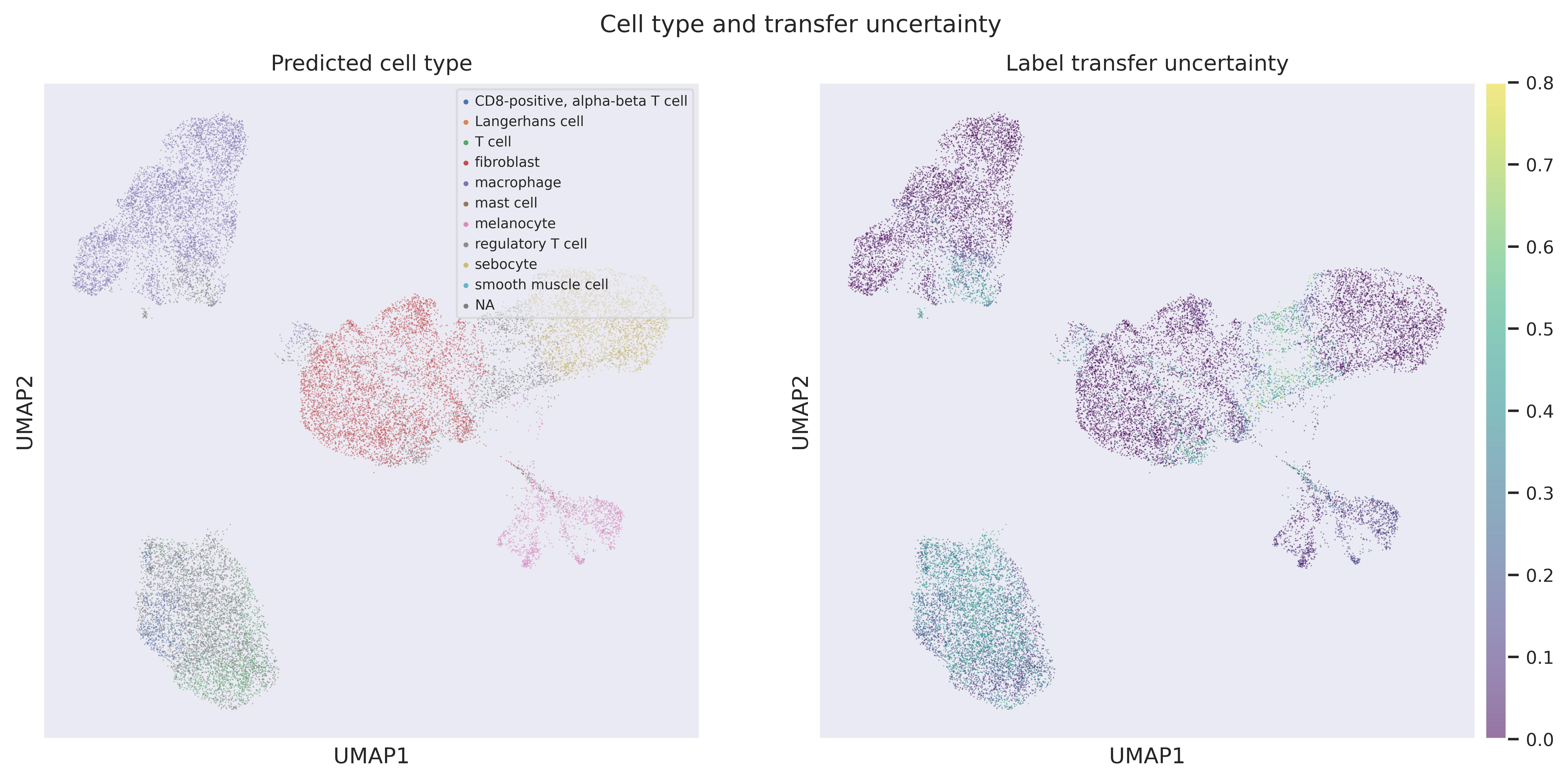 Label transfer UMAP
