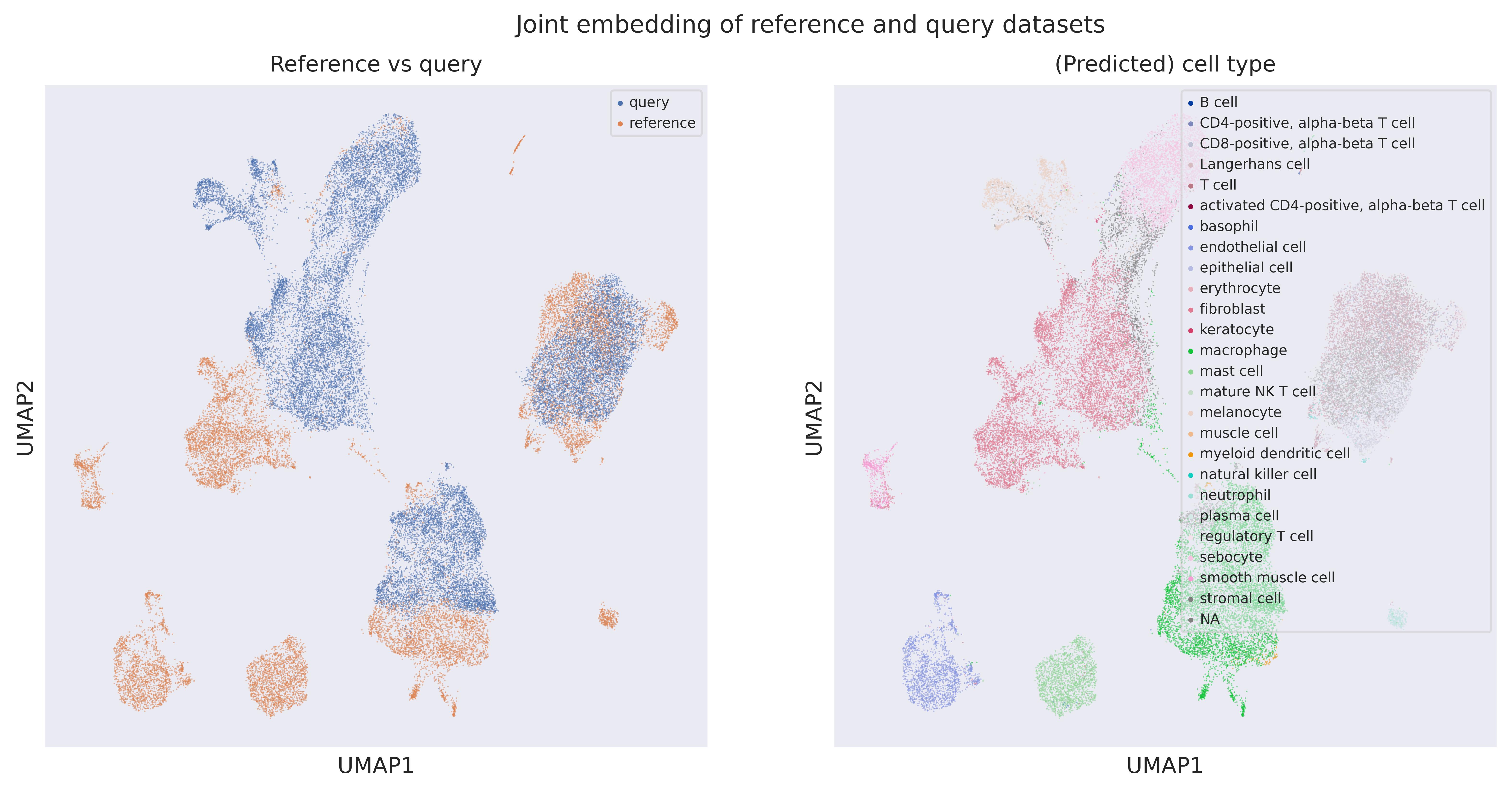 Cell origin UMAP