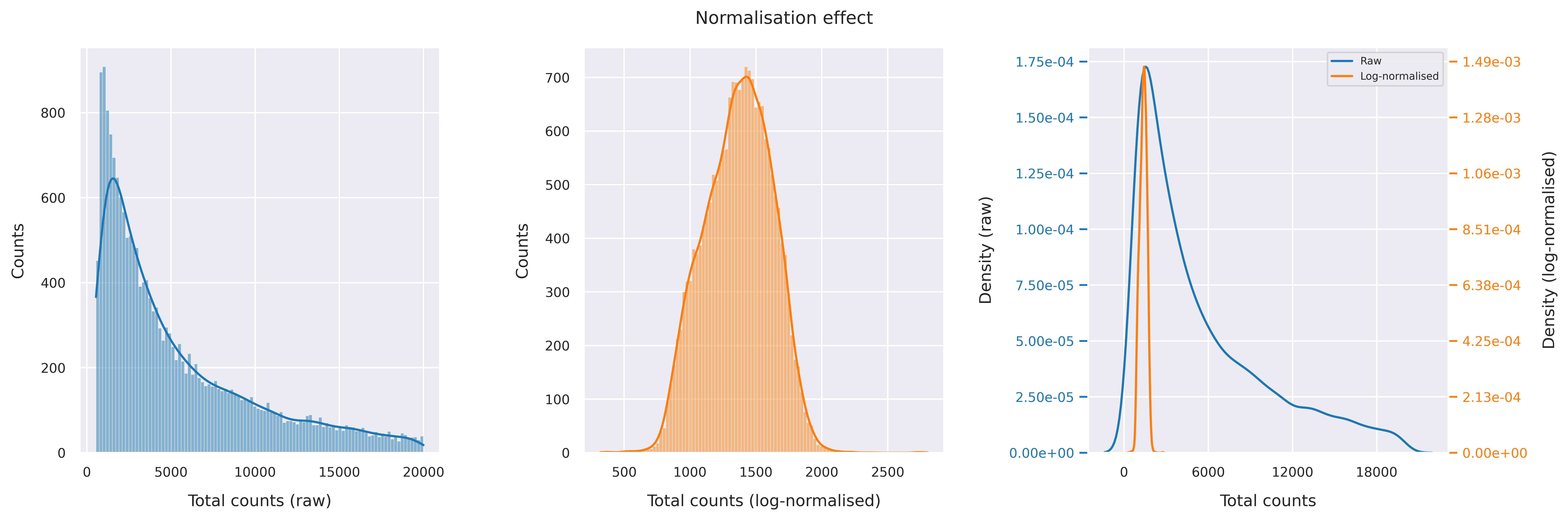 Normalisation effect