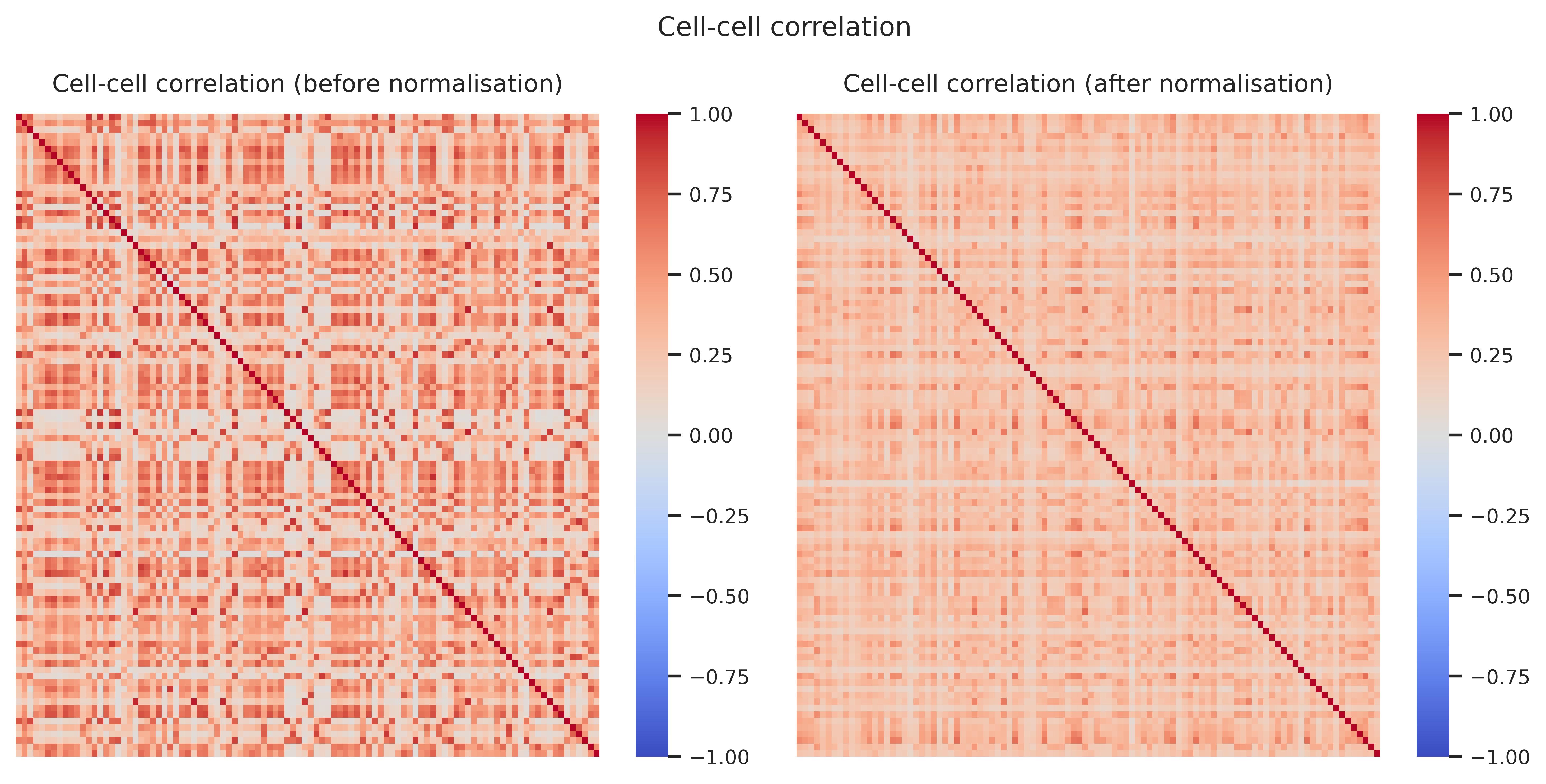 Cell–cell correlation