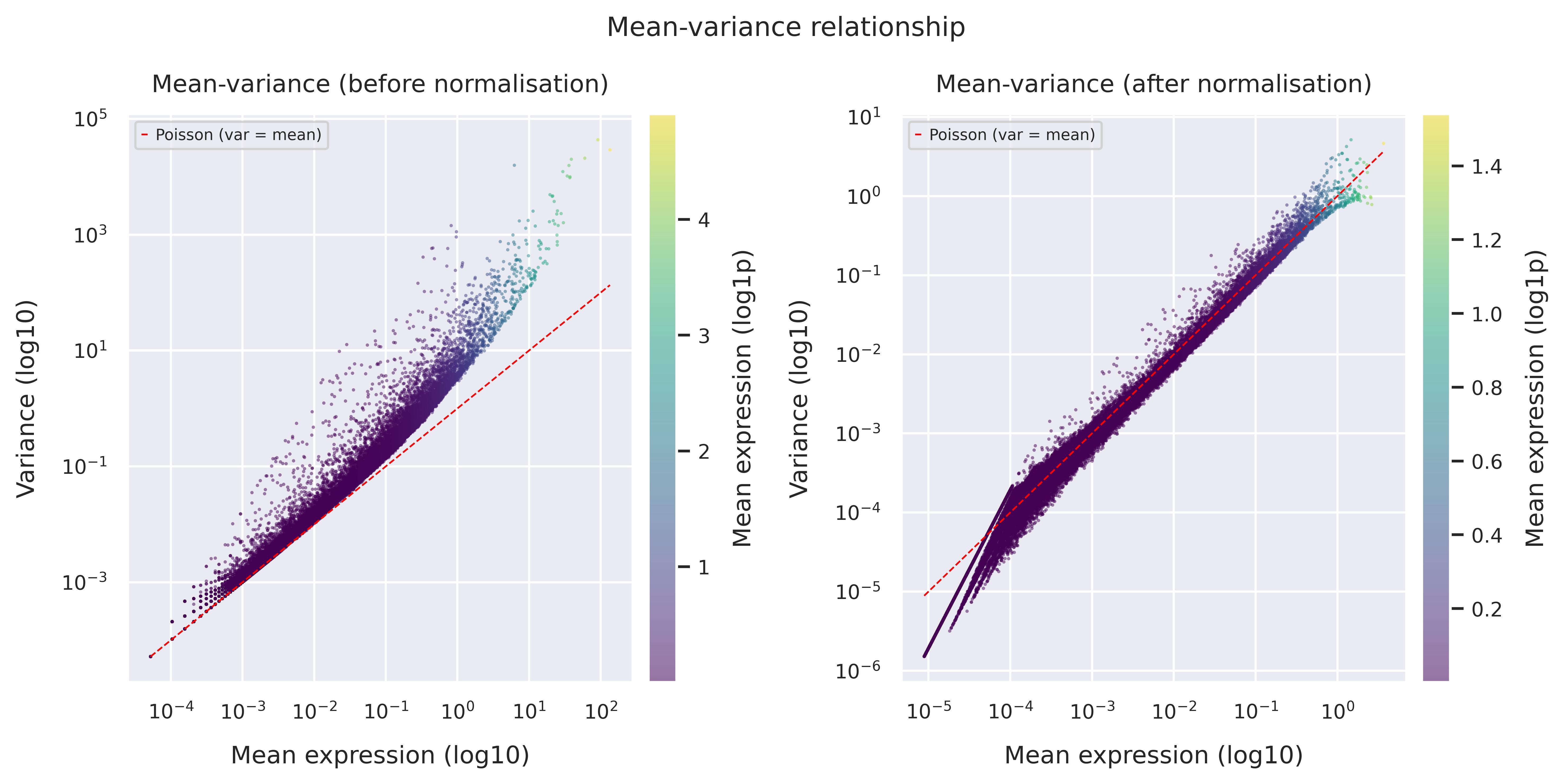 Mean–variance relationship