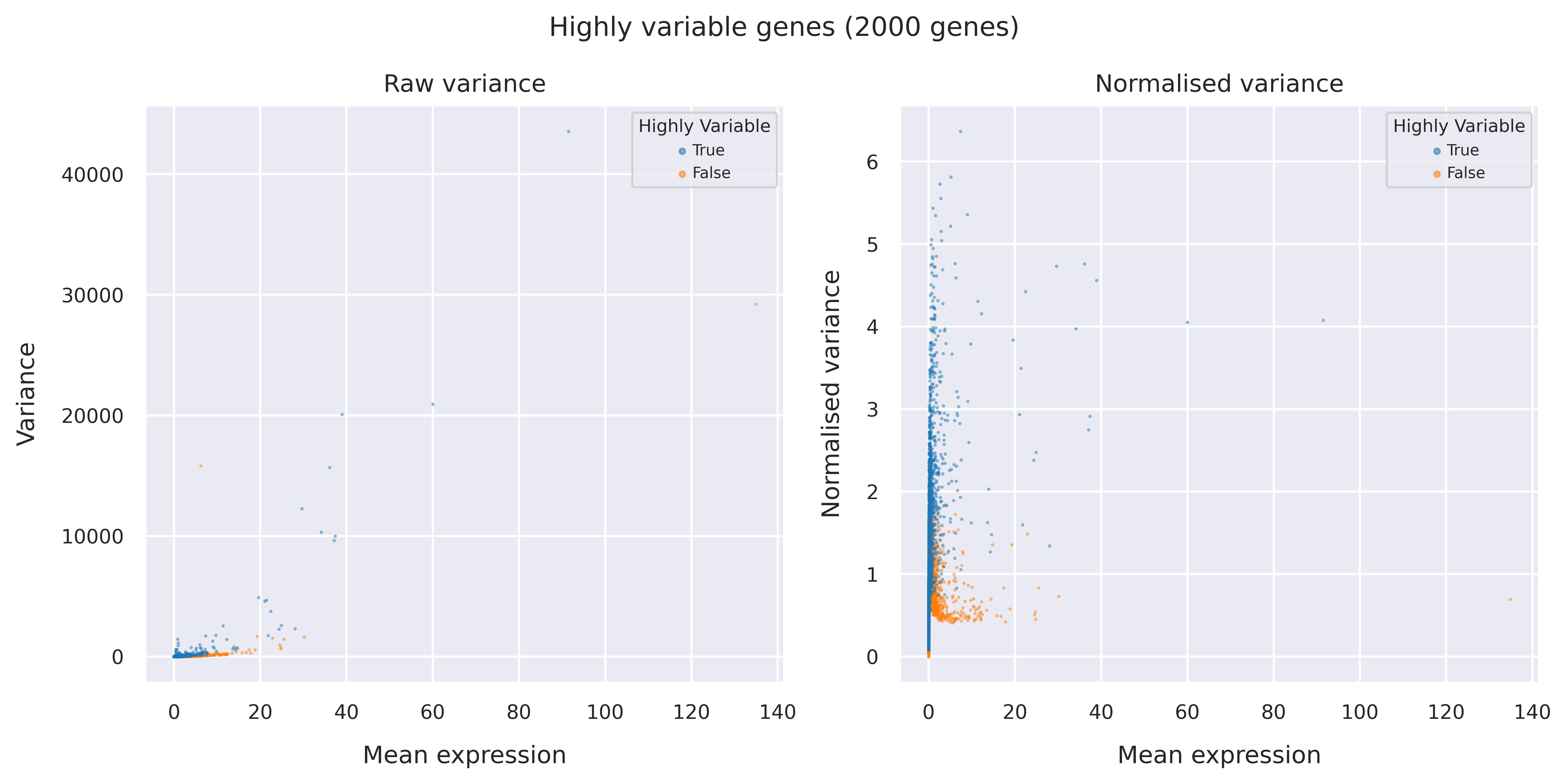 Highly variable genes