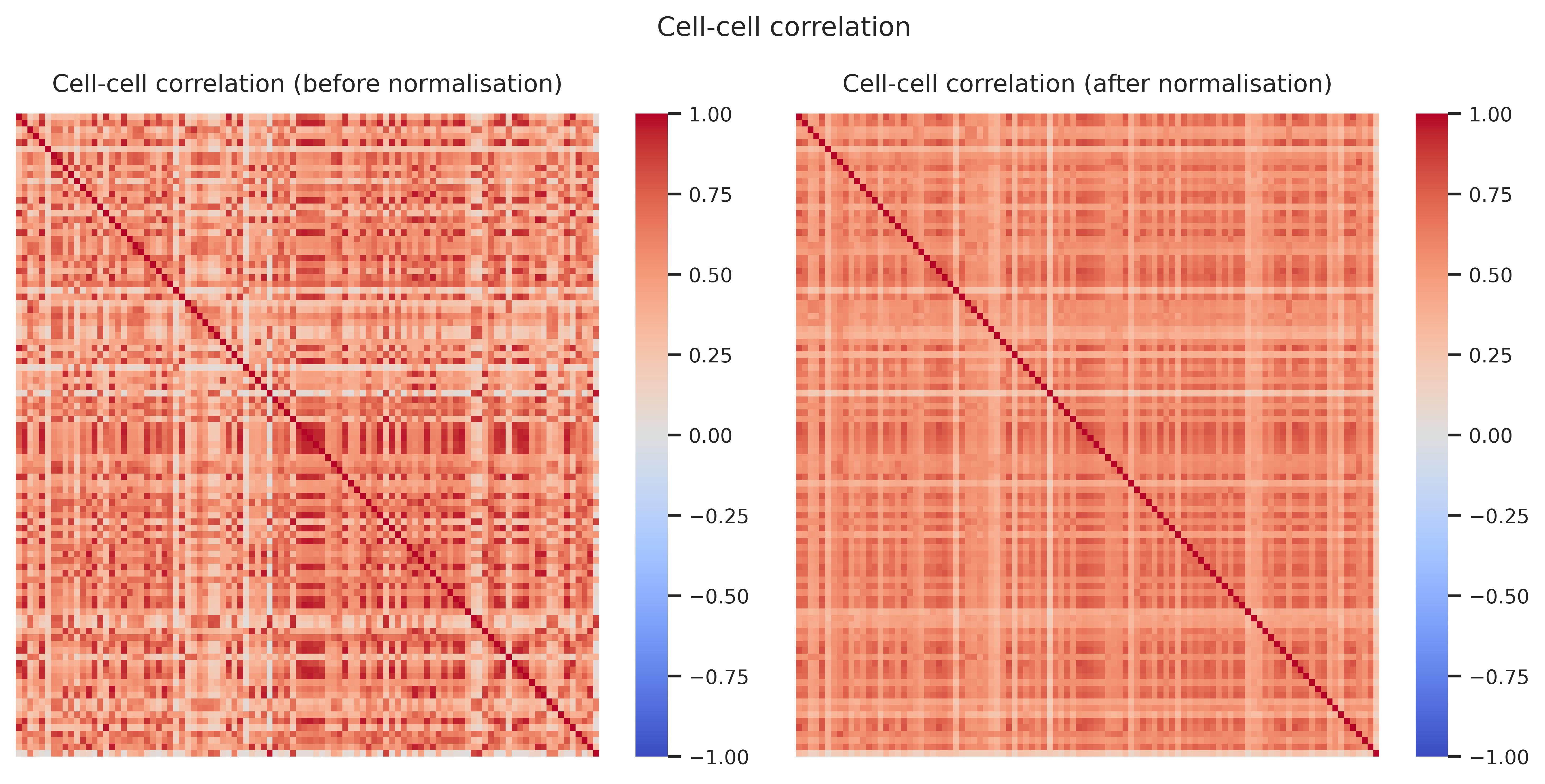 Cell–cell correlation