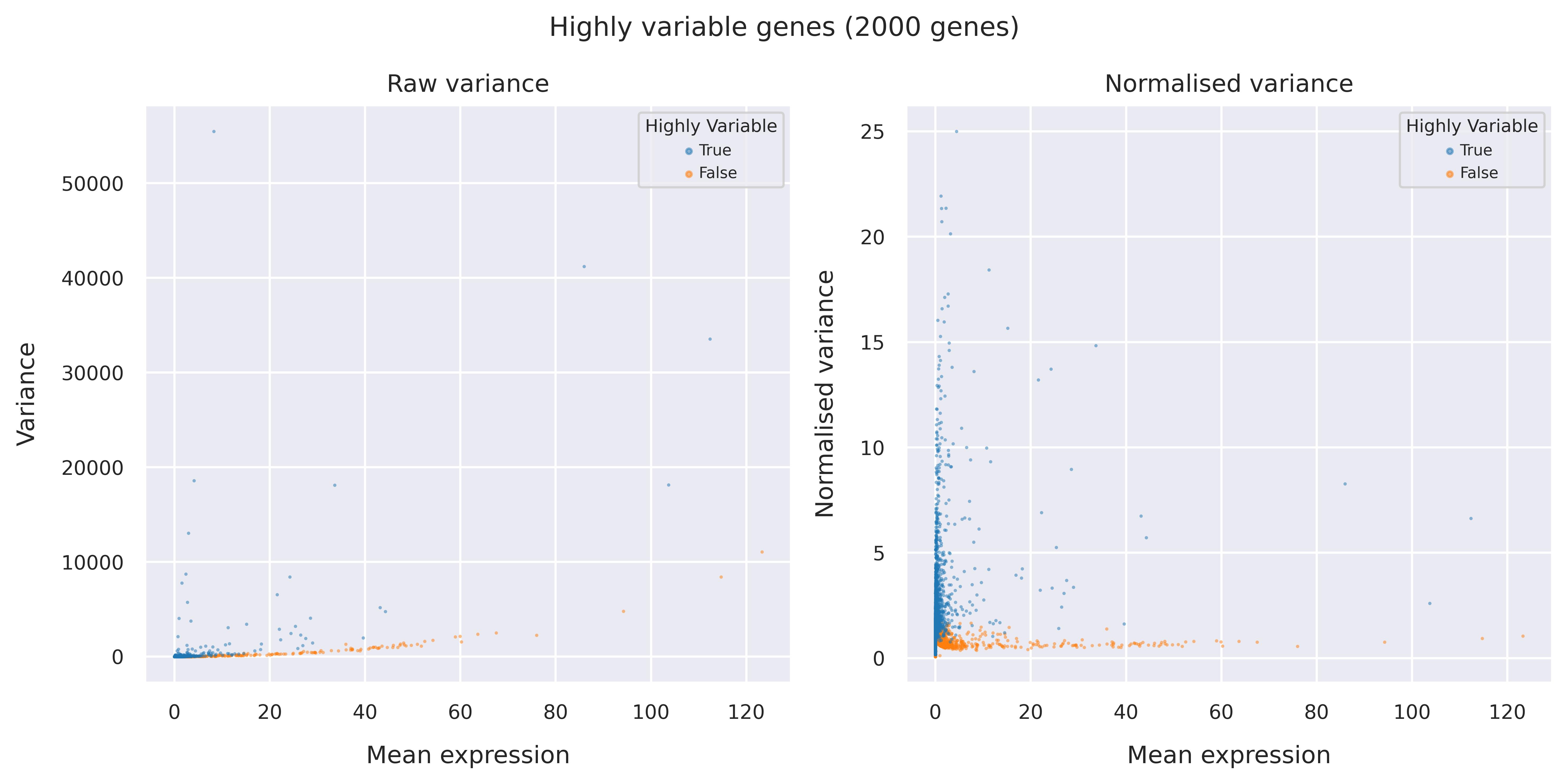 Highly variable genes
