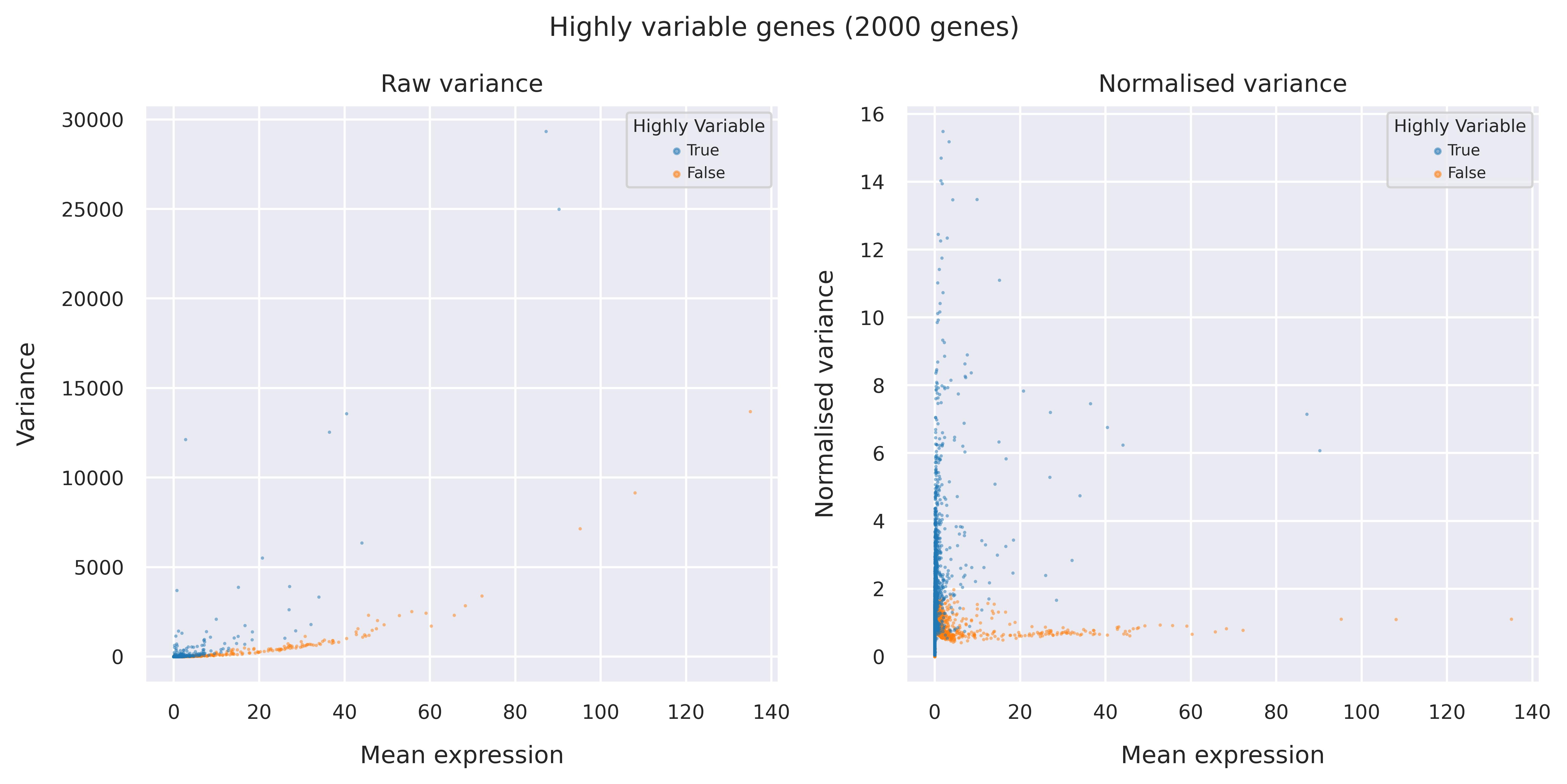 Highly variable genes