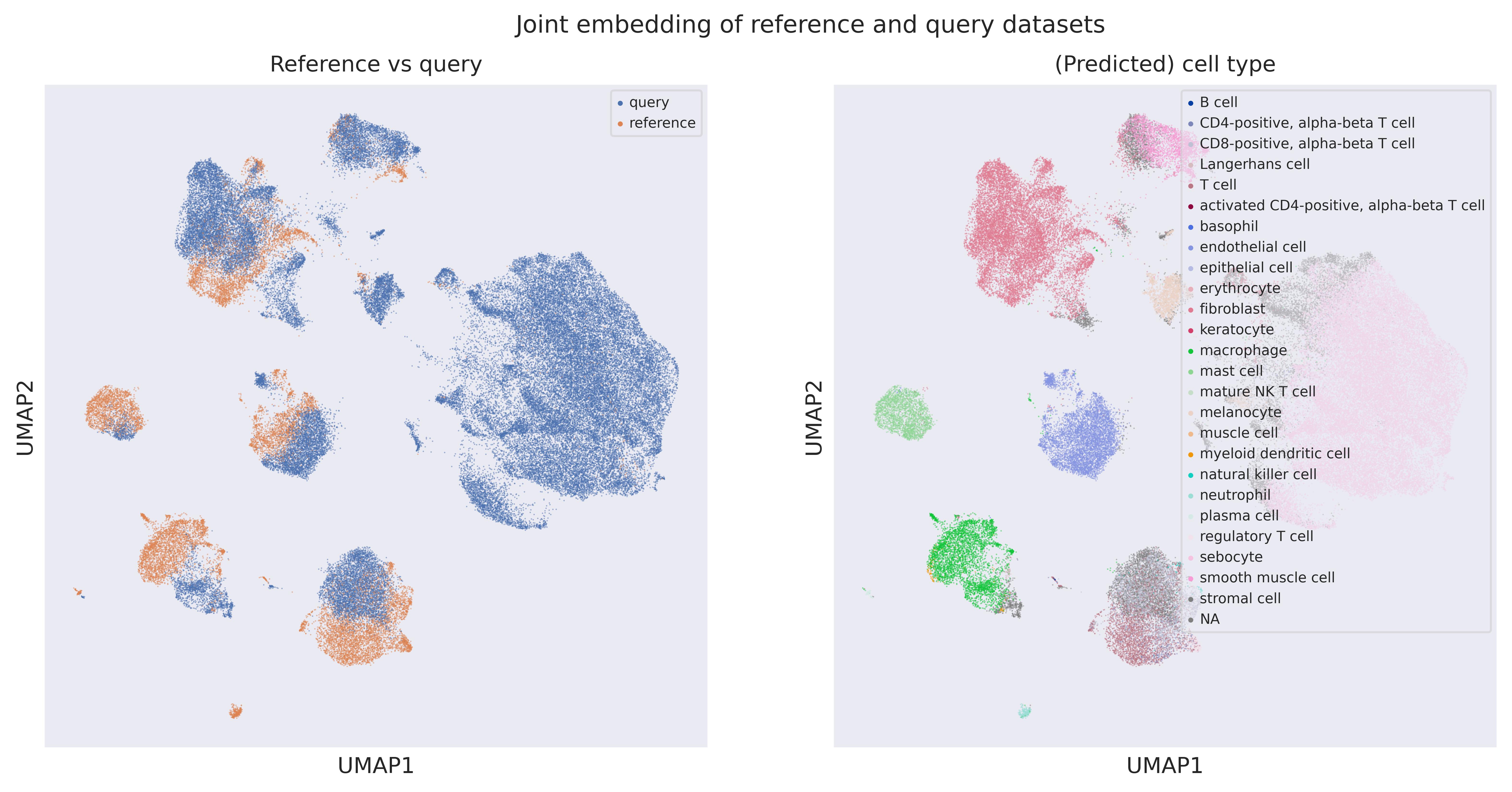 Cell origin UMAP