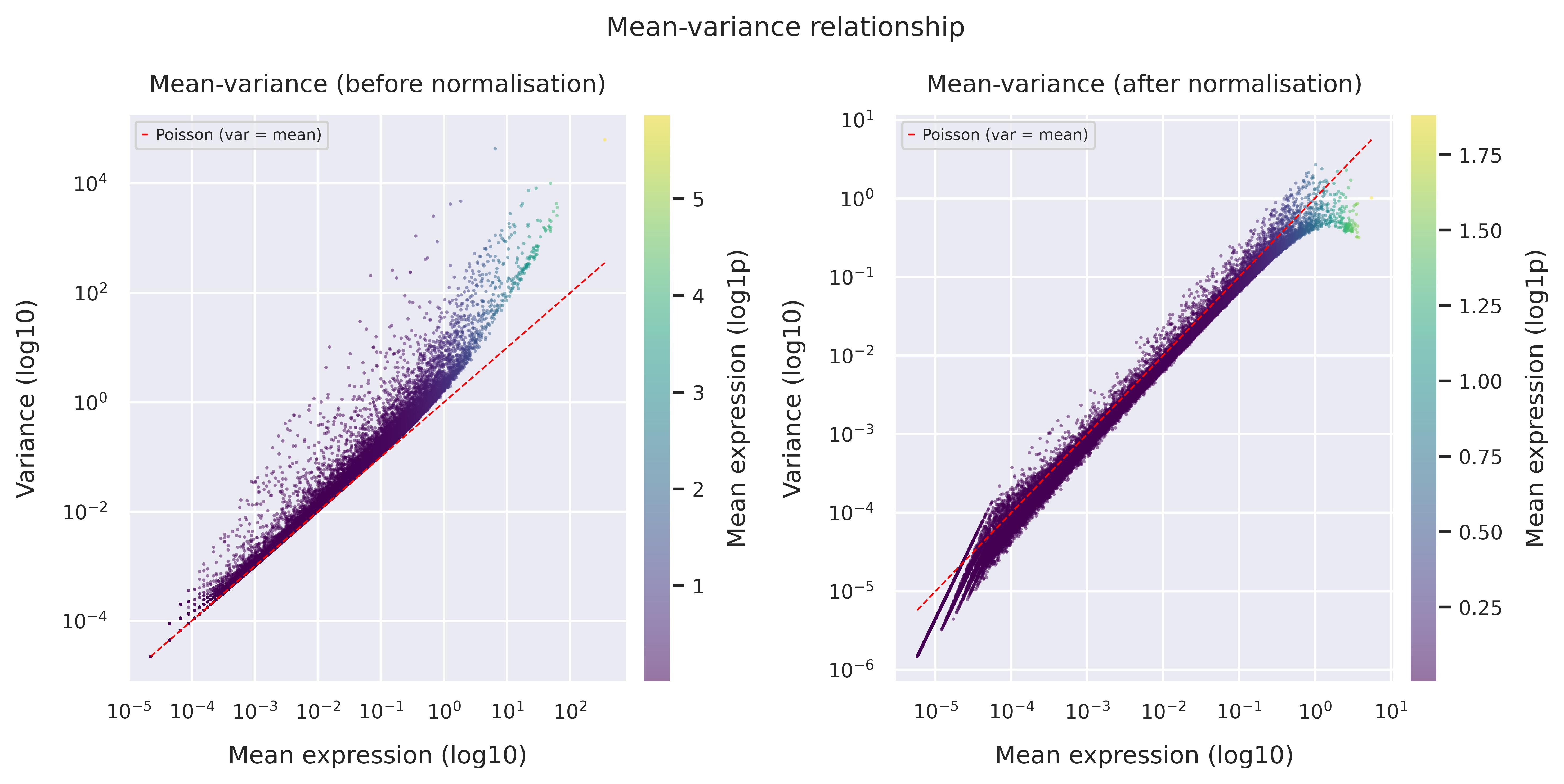 Mean–variance relationship