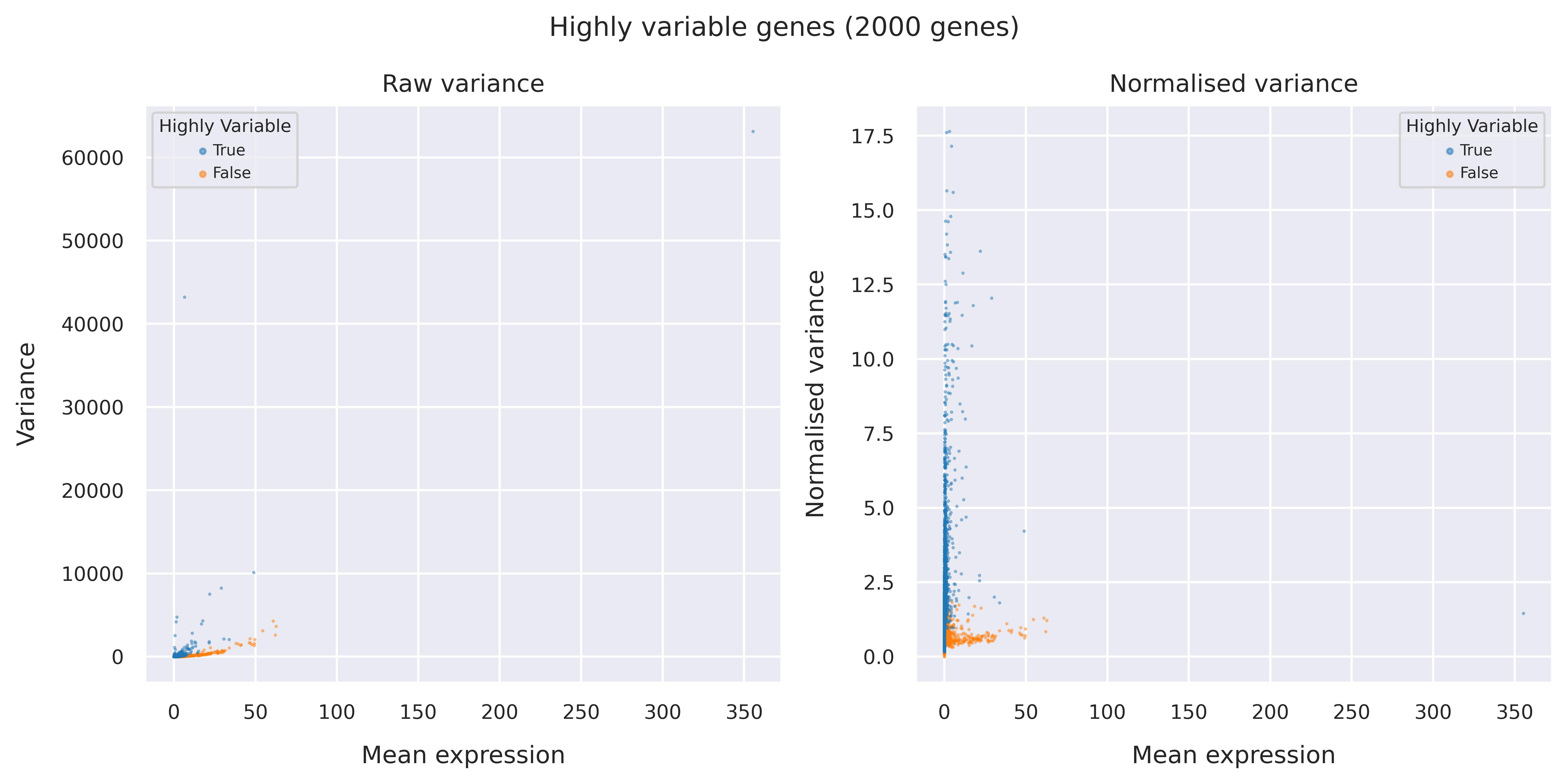Highly variable genes