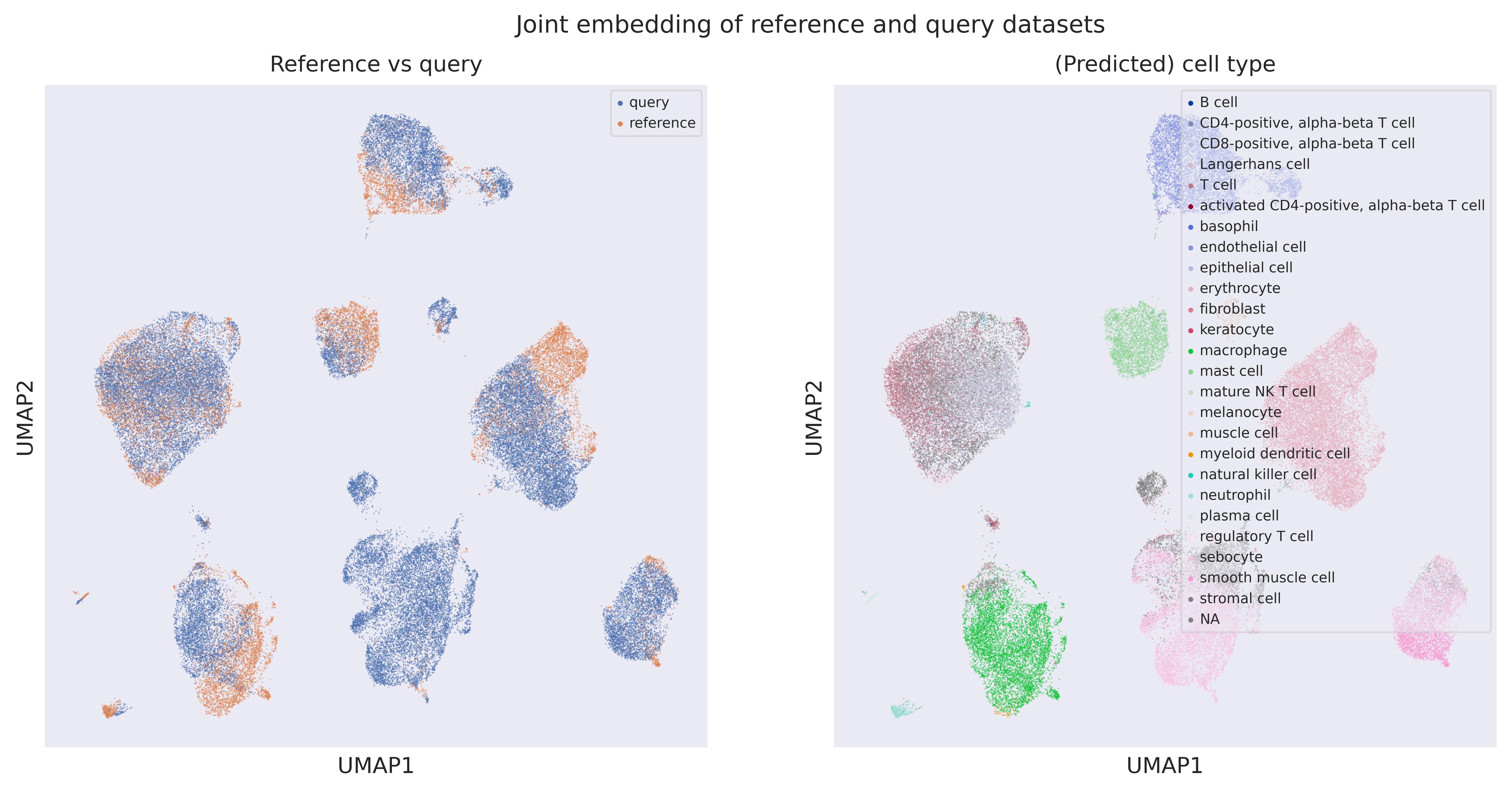 Cell origin UMAP