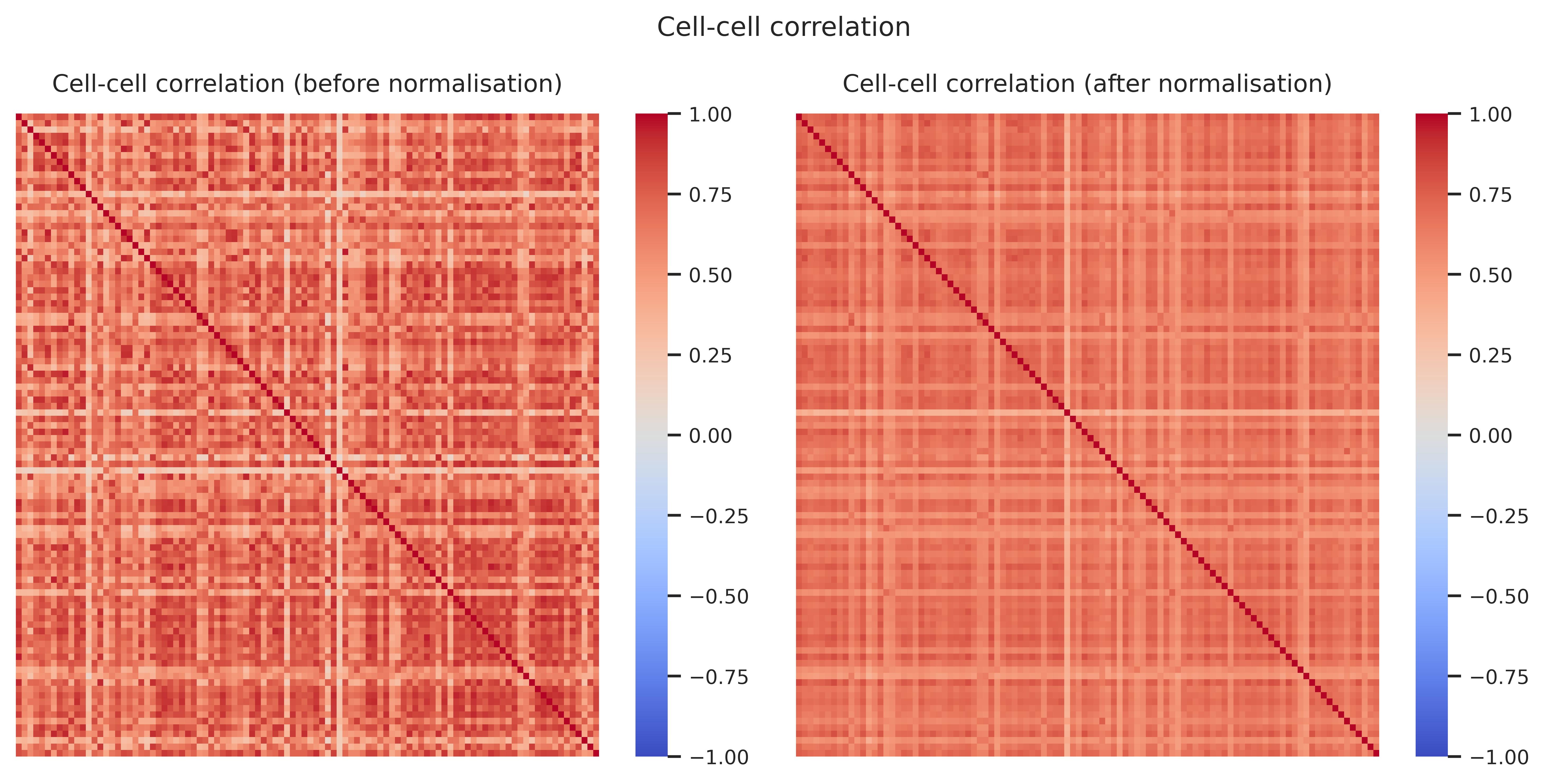 Cell–cell correlation