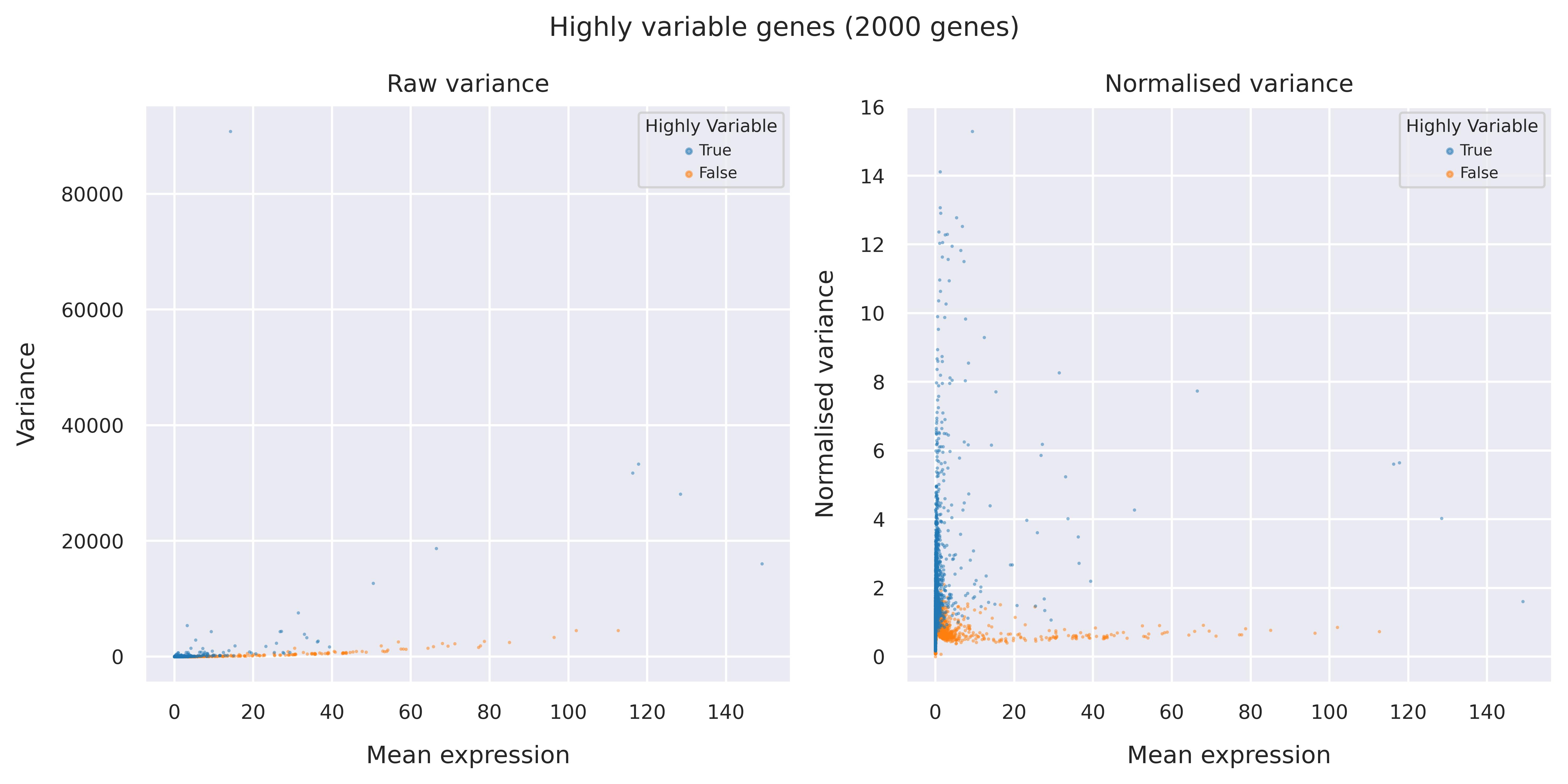 Highly variable genes