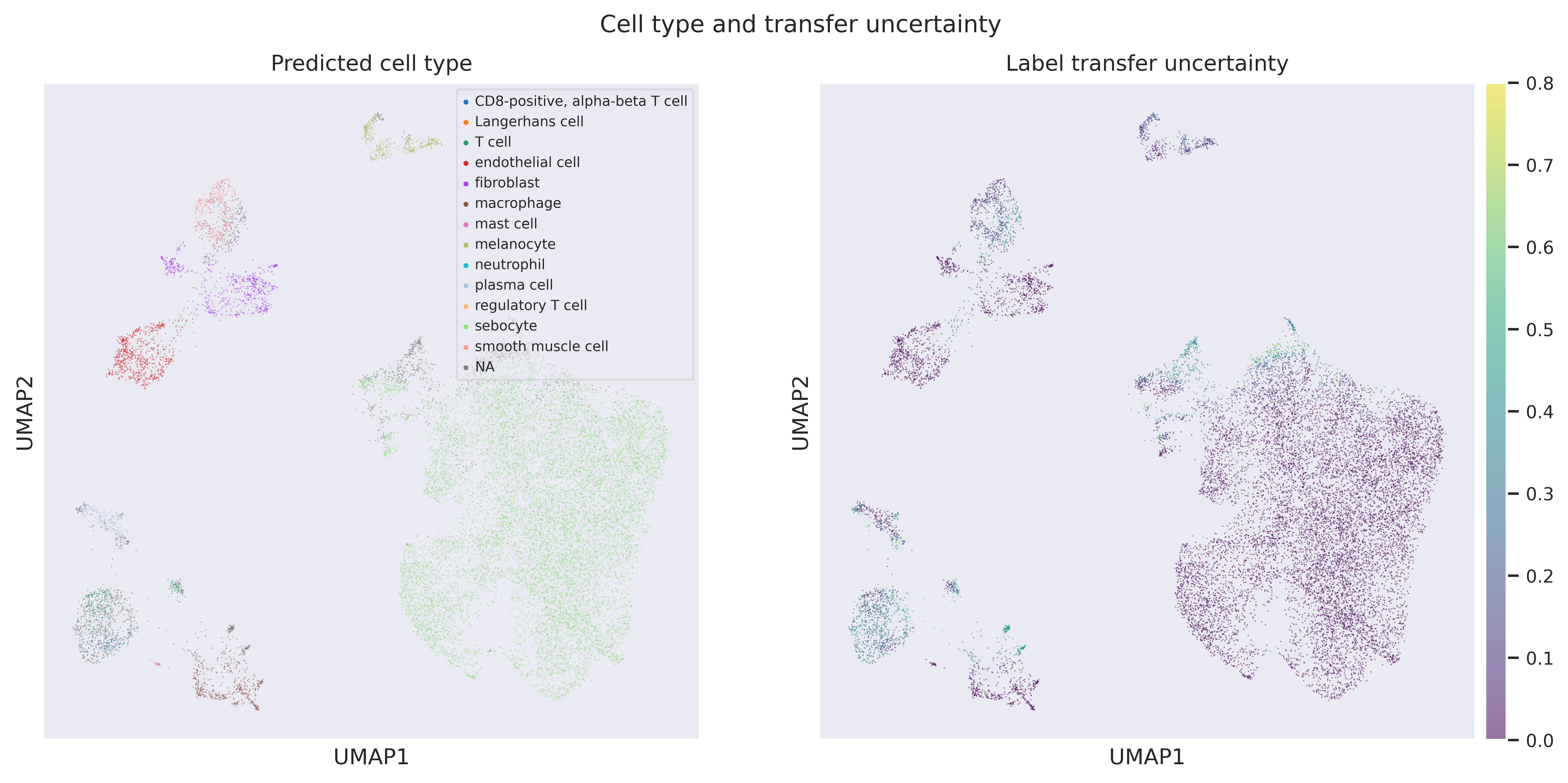 Label transfer UMAP