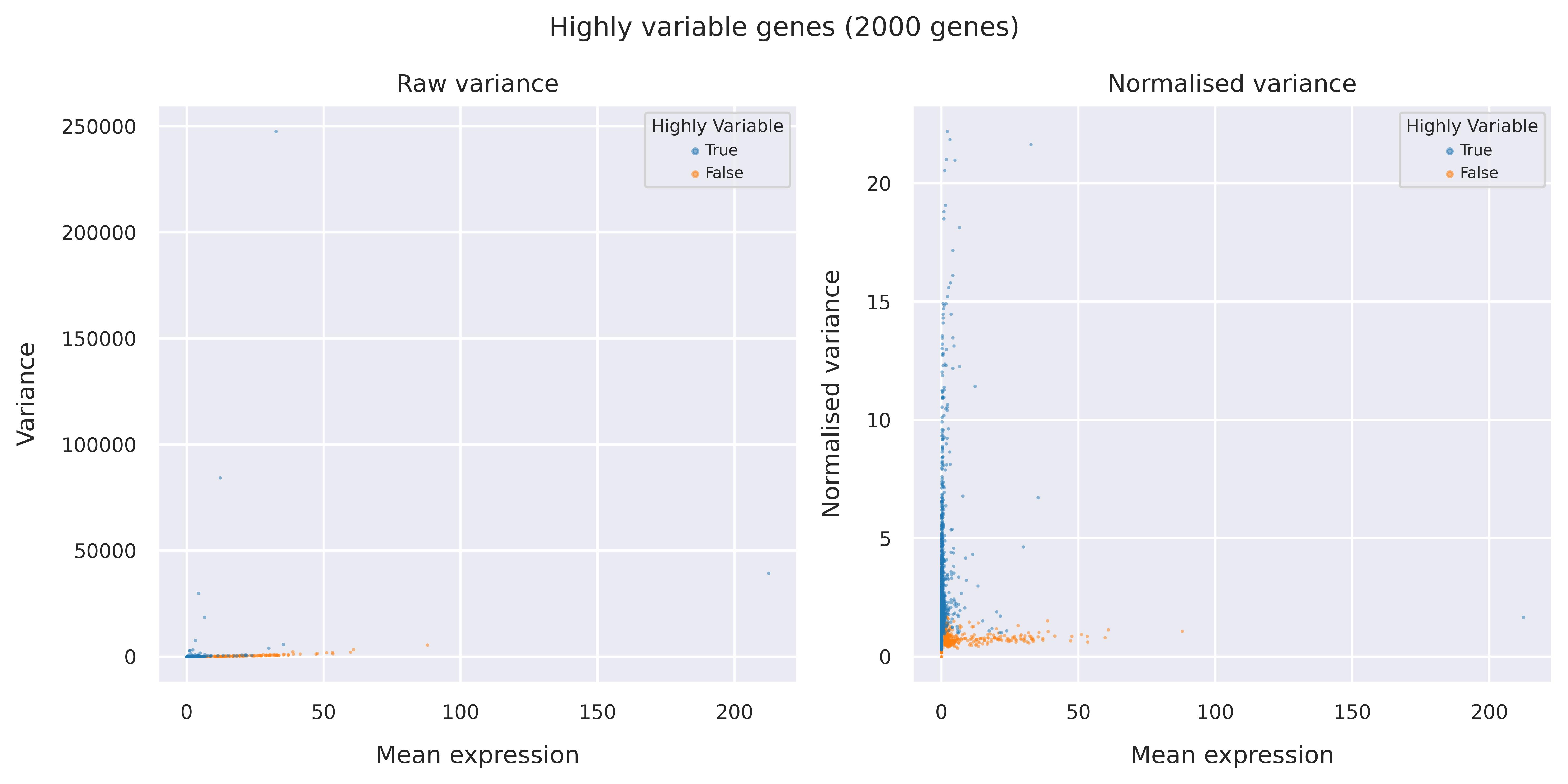 Highly variable genes