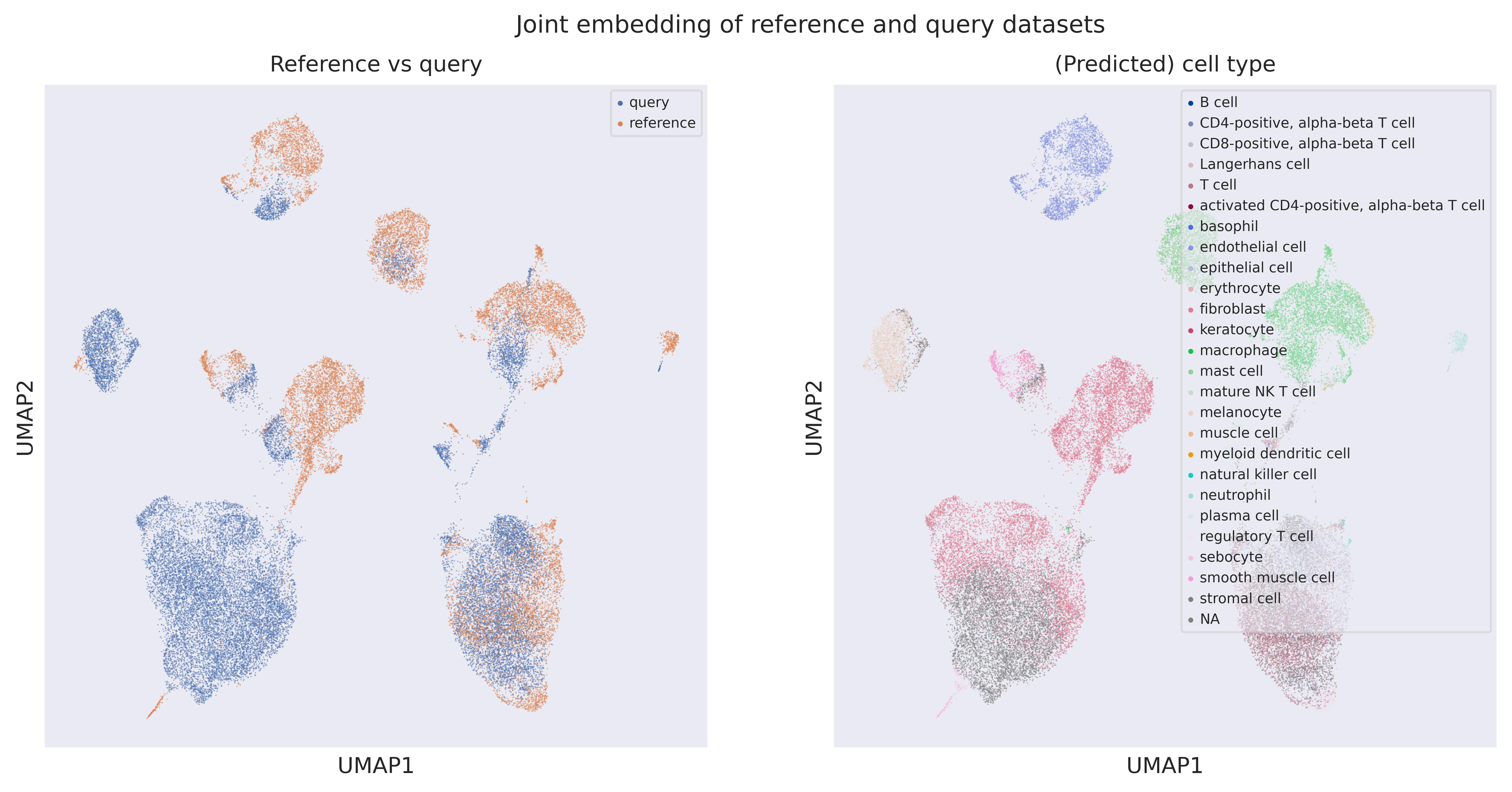 Cell origin UMAP