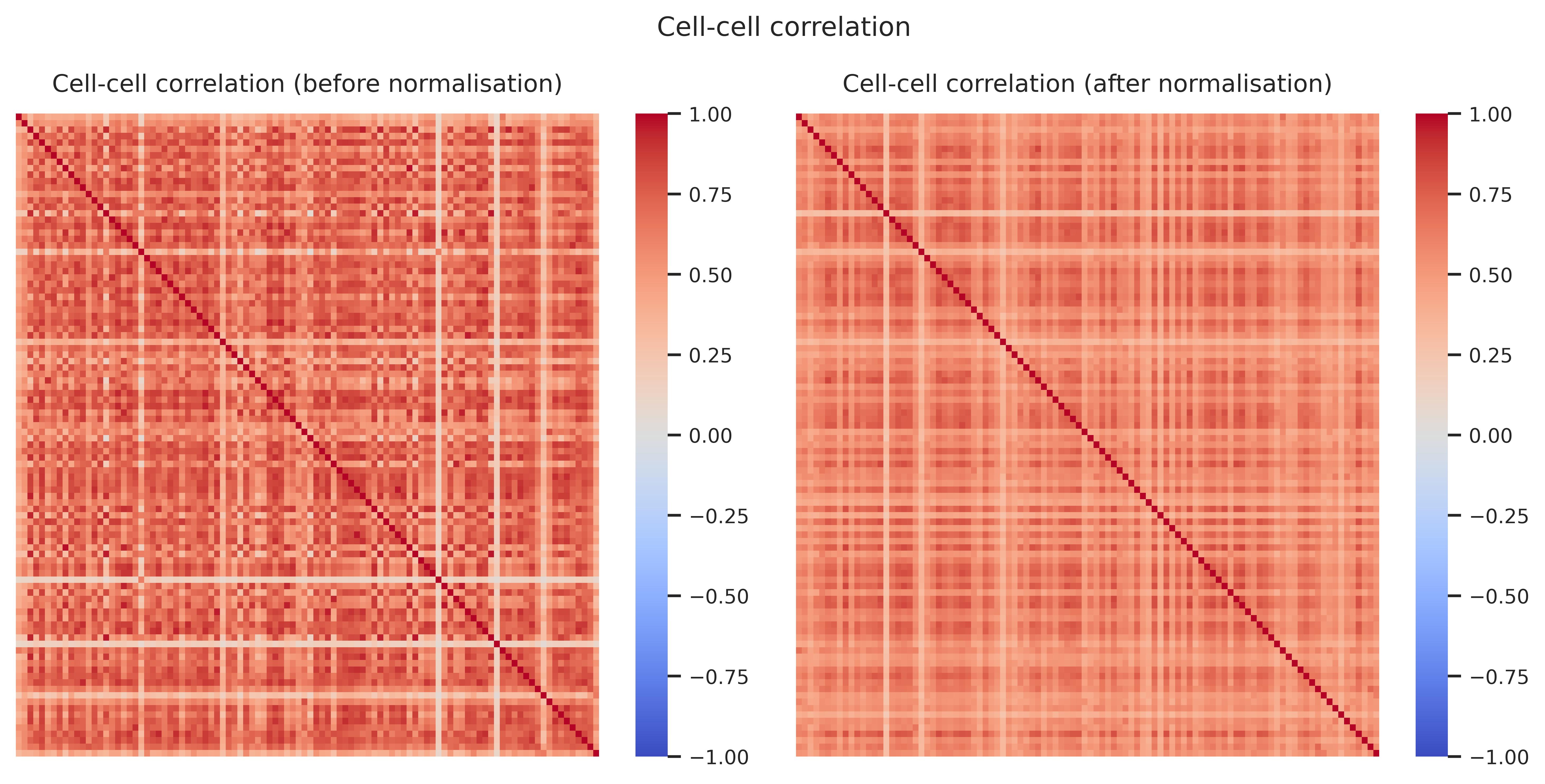 Cell–cell correlation