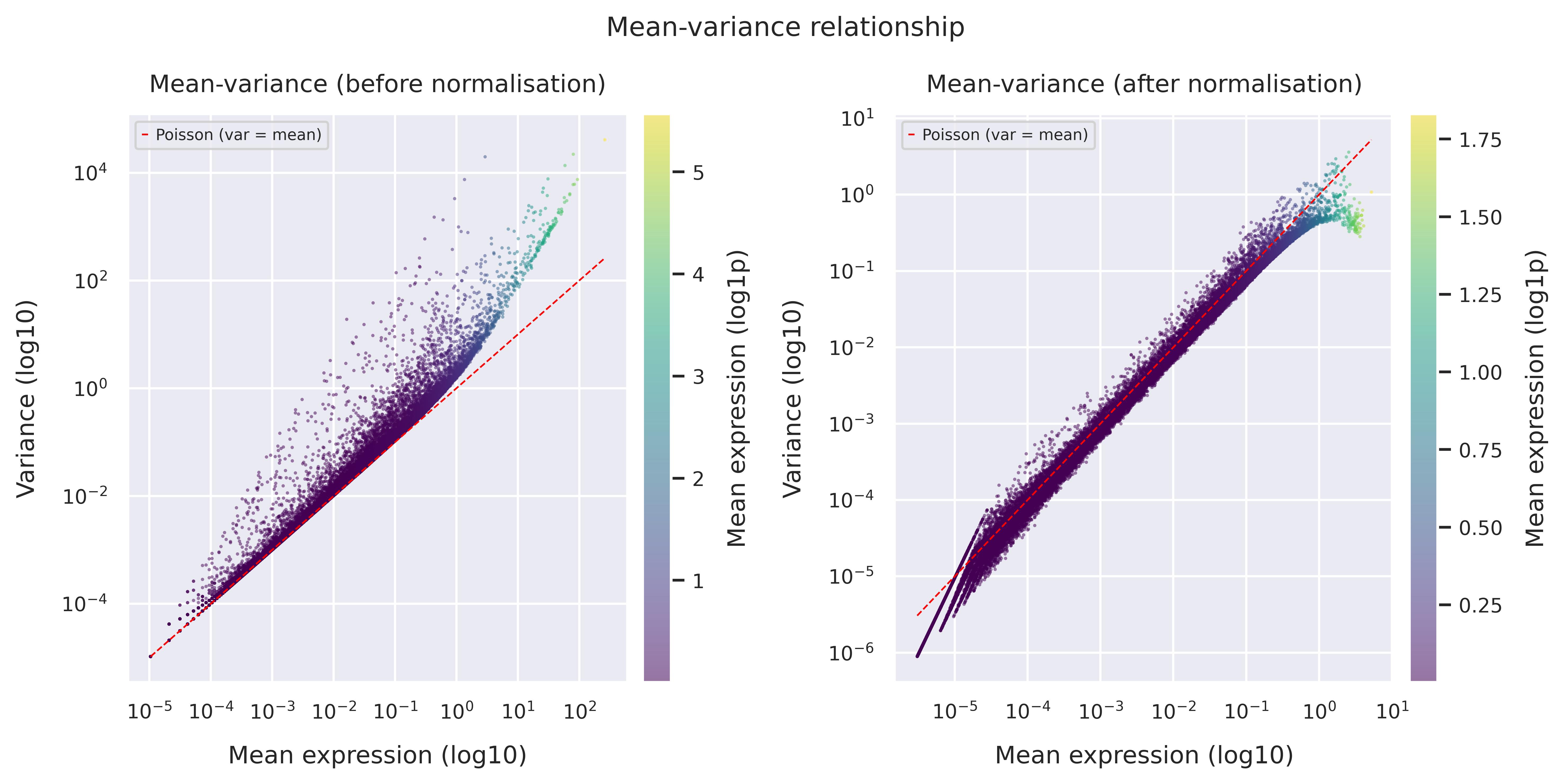 Mean–variance relationship