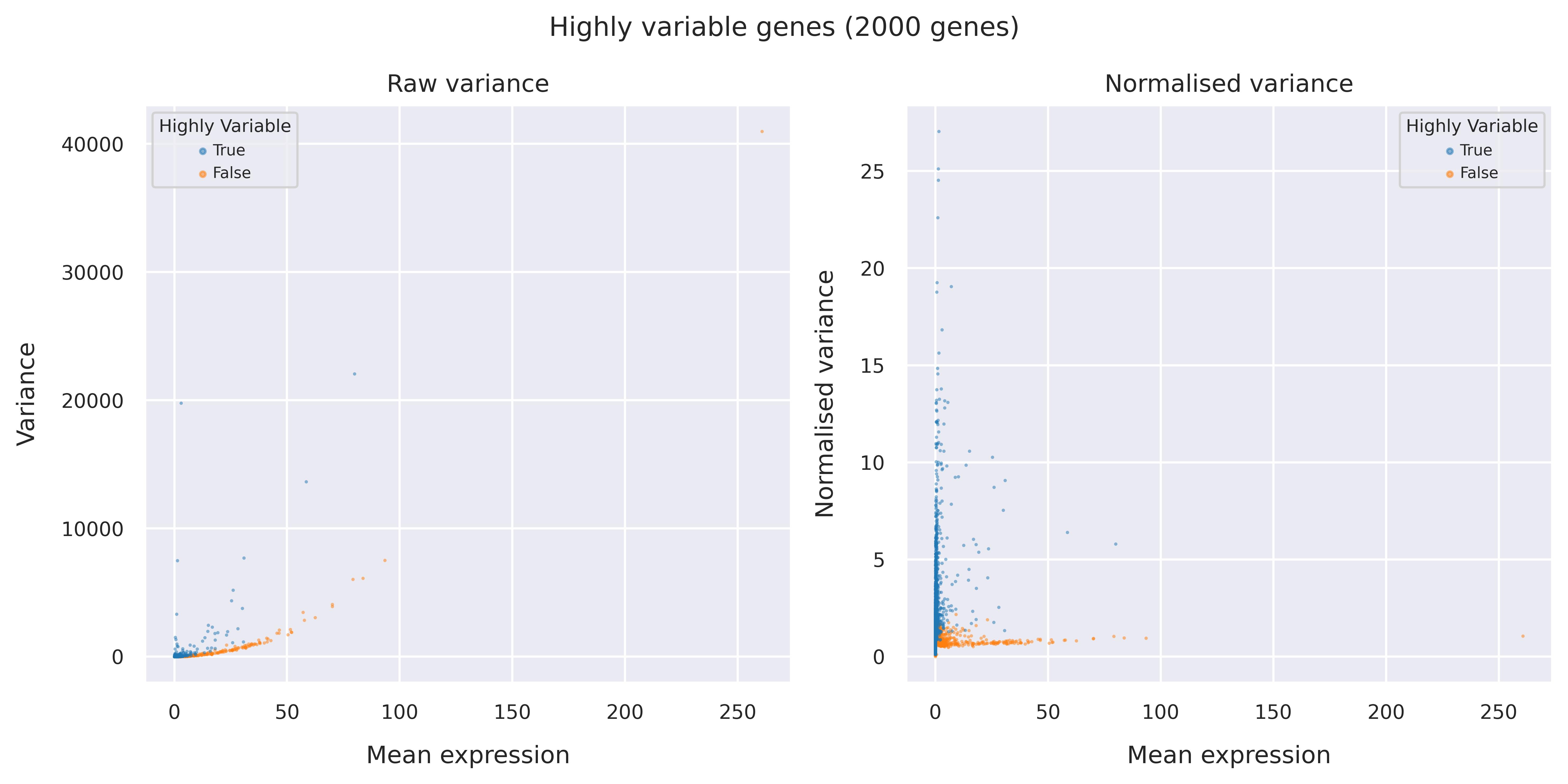 Highly variable genes