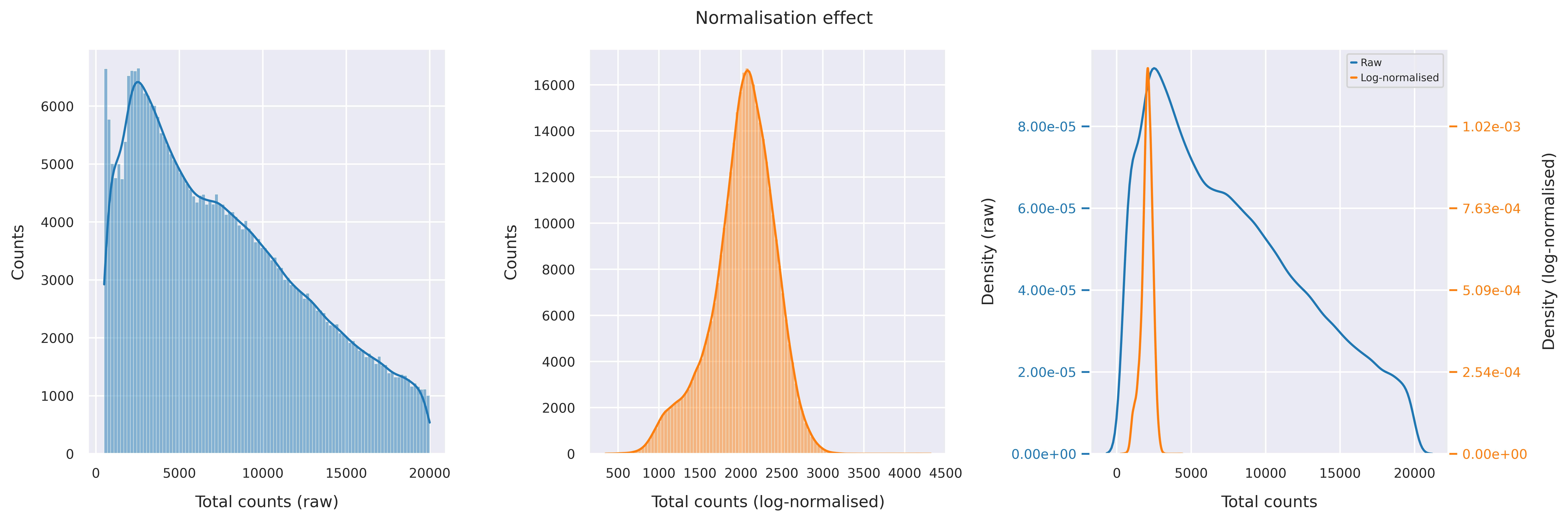 Normalisation effect