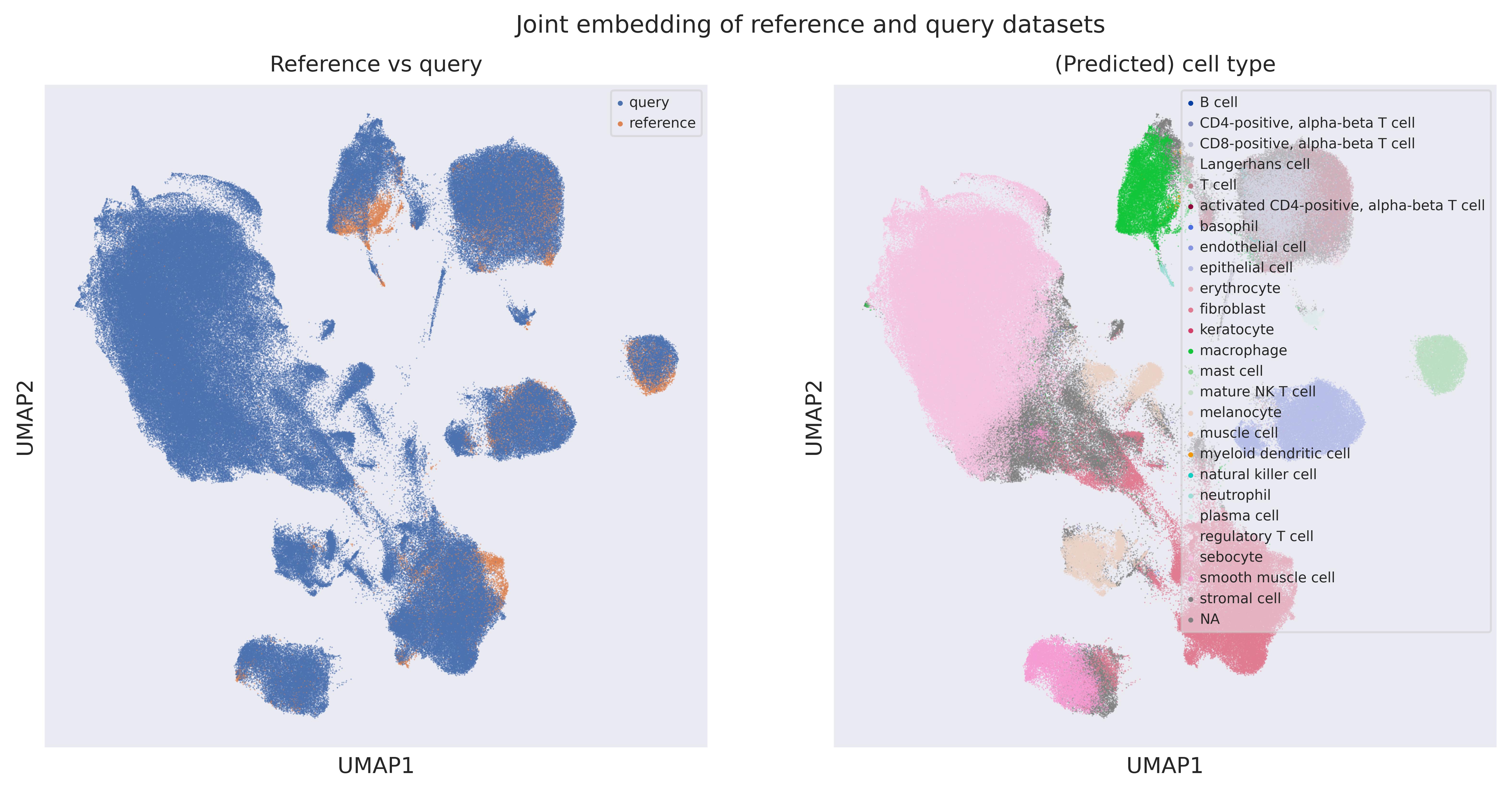 Cell origin UMAP